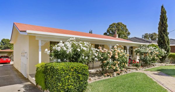 Cartwrights Hill cottage with a prizeworthy garden