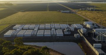 Bigger batteries power the future of renewable energy in the Riverina: Transgrid