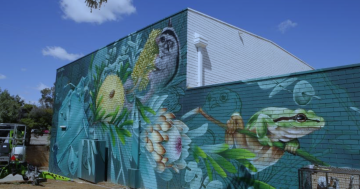 New mural brightens up Tolland Shopping Centre