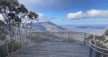 From Perisher to Bullocks Flat: The final stretch of Snowies Alpine Walk now open