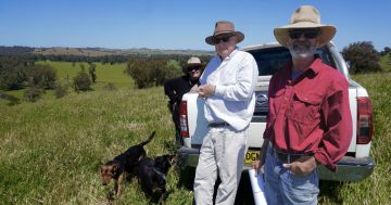 Wagga Council delays decision on controversial new Oura abattoir after hearing about environmental concerns