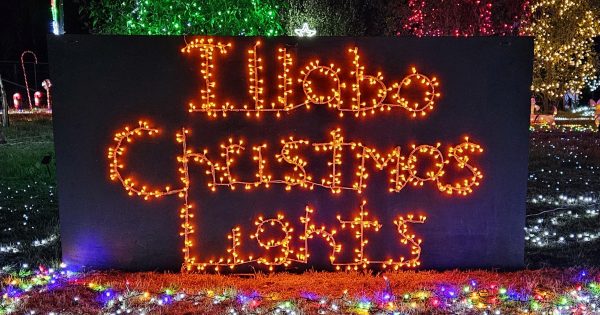 'It's like a dream!' Illabo couple shines brightest with the Riverina's best Christmas lights