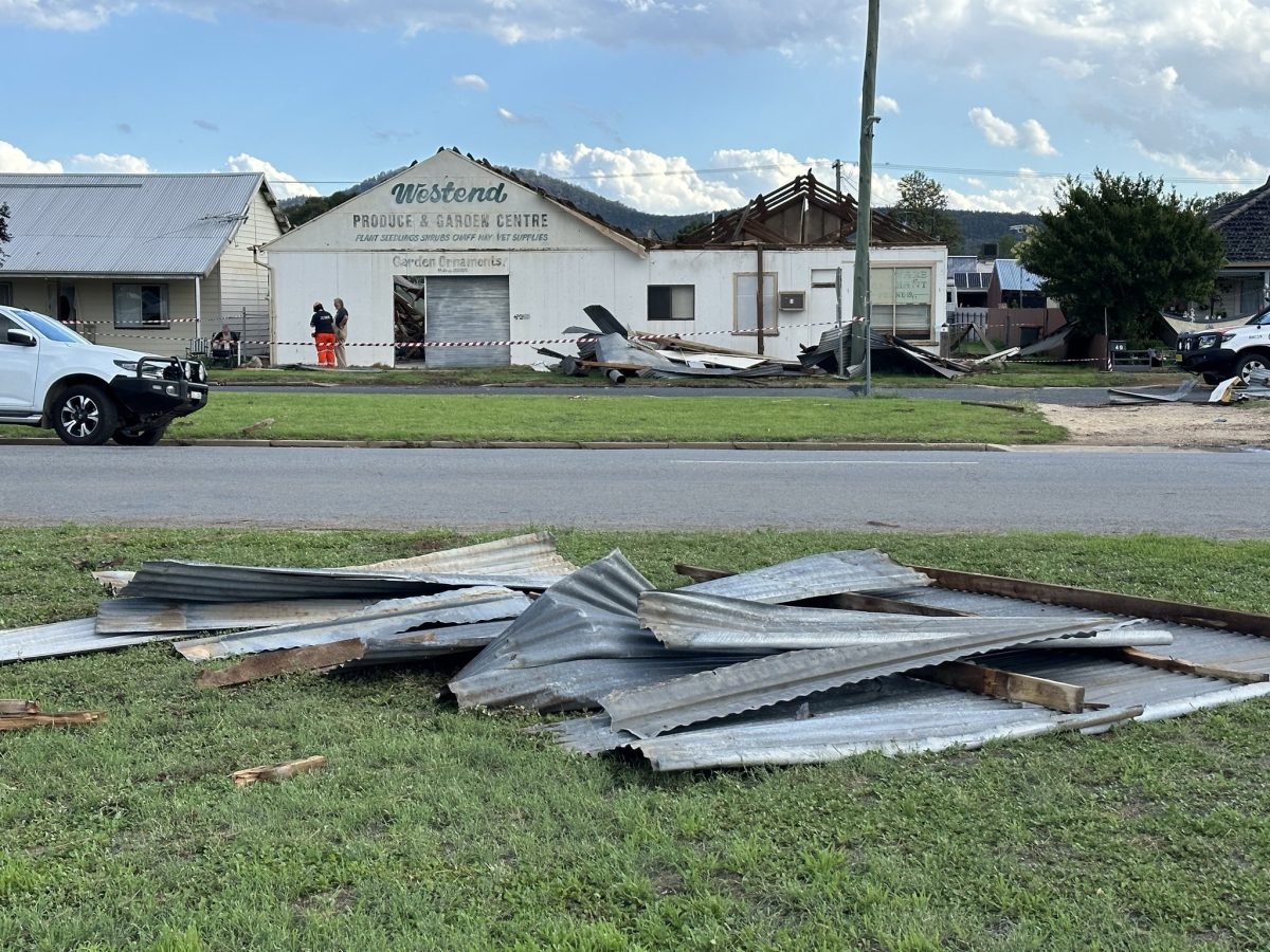 storm debris