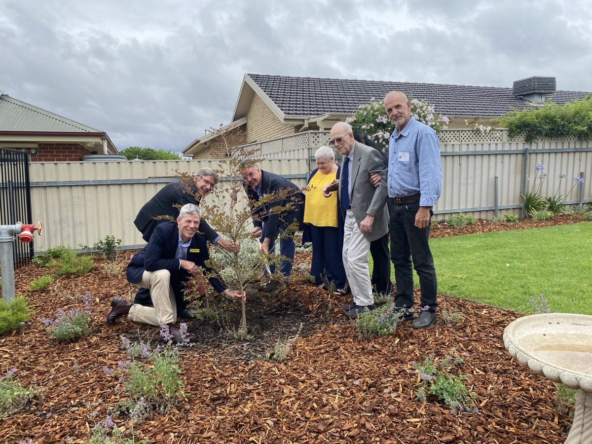 A group of people planting a commemorative tree 