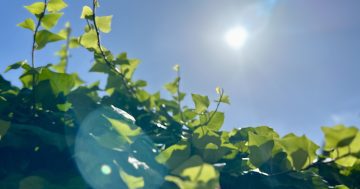 Warmer (and drier) conditions predicted as modelling shows major climate shift could arrive