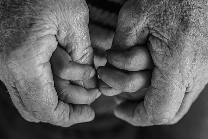 <em>Holding Onto The Next Generation</em> photo won the people’s choice award.” width=”720″ height=”480″ srcset=”https://regionriverina.com.au/wp-content/uploads/sites/9/2024/12/PeoplesChoicewinner.HoldingontotheNextGeneration.byJypsieCronan.jpeg 720w, https://regionriverina.com.au/wp-content/uploads/sites/9/2024/12/PeoplesChoicewinner.HoldingontotheNextGeneration.byJypsieCronan-300×200.jpeg 300w” sizes=”(max-width: 720px) 100vw, 720px”/></p>
<p id=