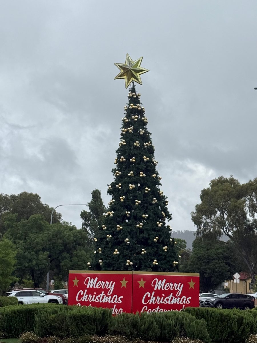 Cootamundra’s Parker Street is shining brightly day and night