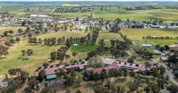 Police continue investigation after Murrumburrah High School's beloved ducks are tortured and killed