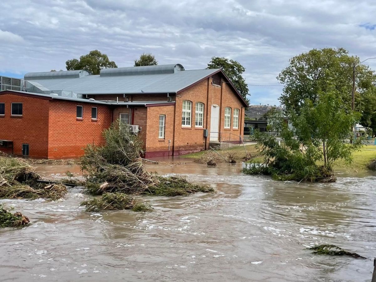 Flooded creek