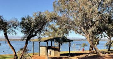 ‘Toxic to humans and animals’: Red alert issued for Griffith’s Lake Wyangan