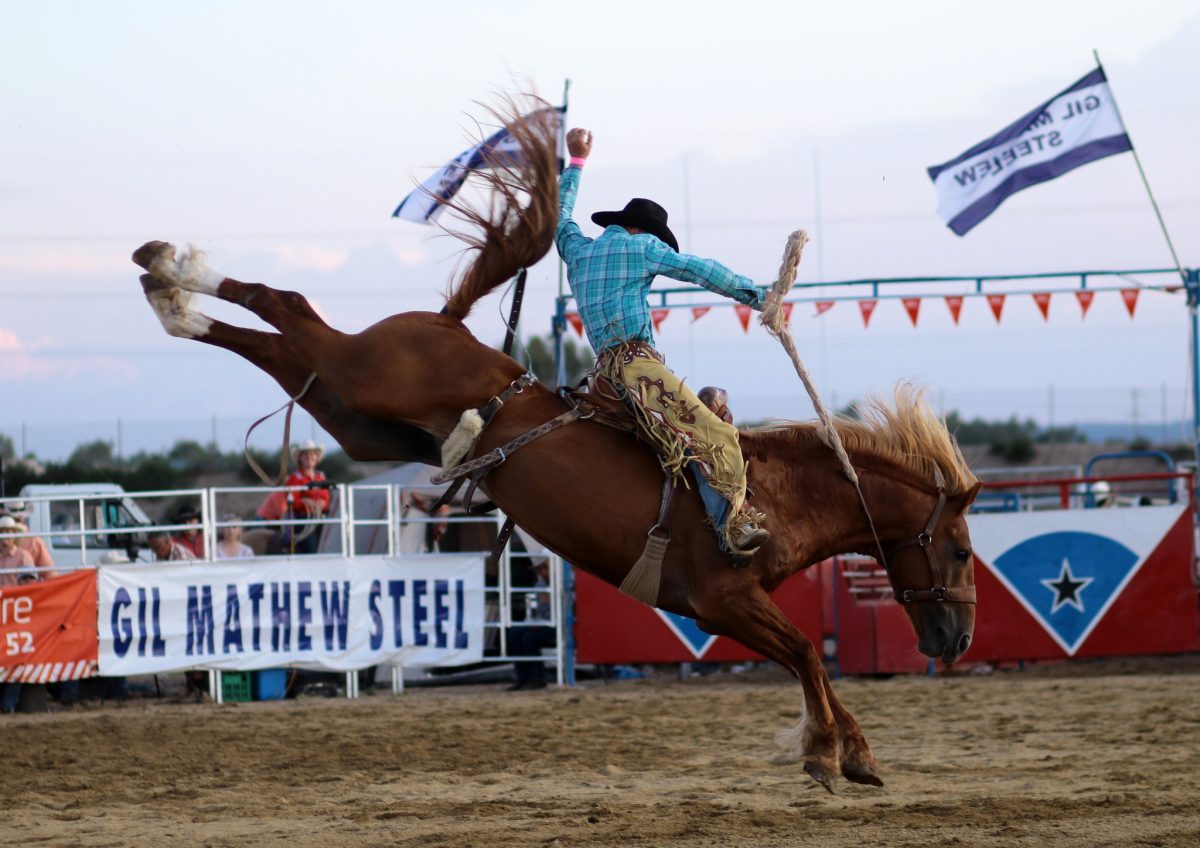 Gil Mathews Wagga Pro Rodeo