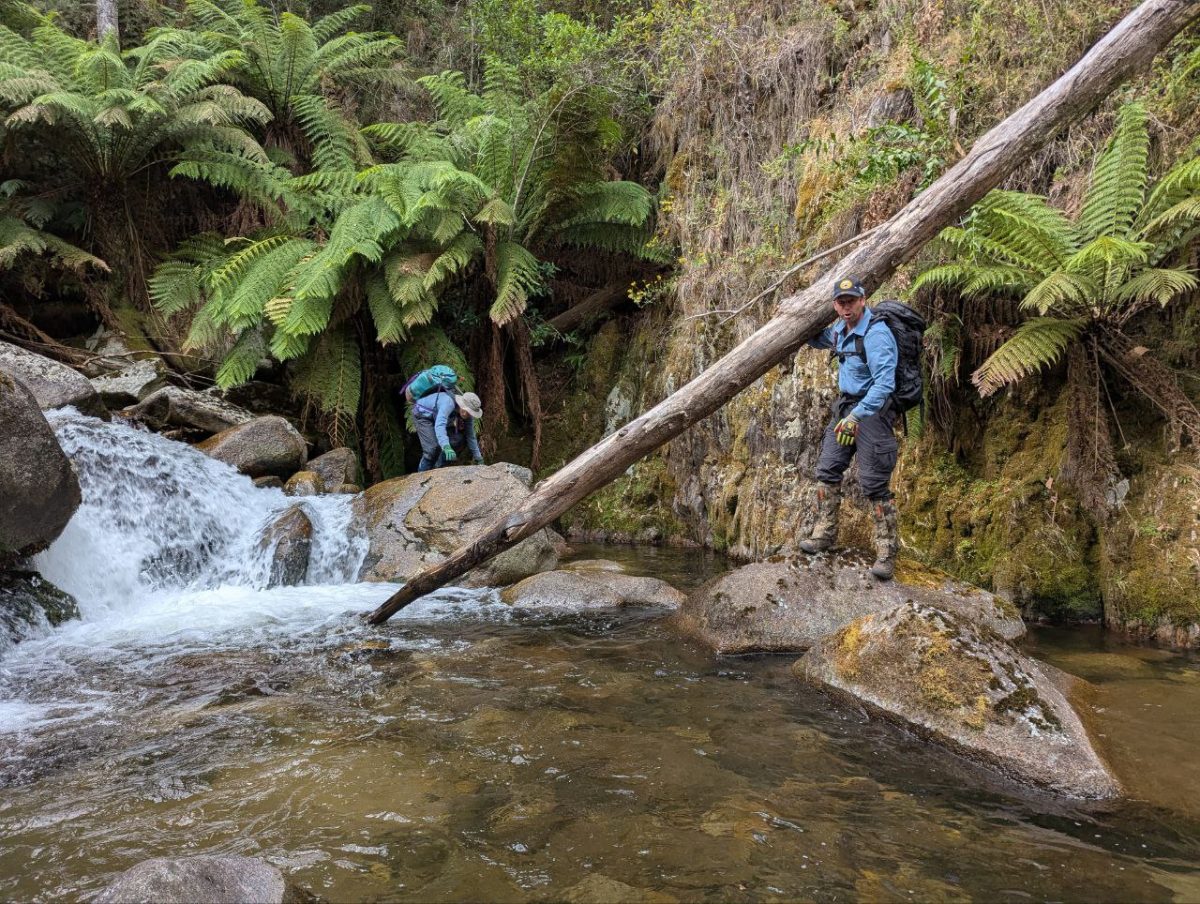 Specialist bushwalkers from VRA Rescue NSW on the ground in Kosciuszko National Park.