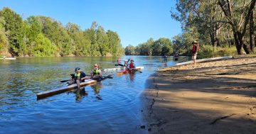 Wagga's on the search for the next Jess Fox! Paddle NSW State Marathon series to take over the 'Bidgee