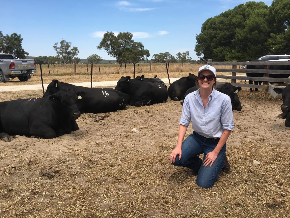 woman with cattle