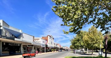 Griffith Police search for suspect after alleged late-night 'punch in the face' on Banna Avenue