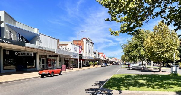 Griffith woman accused of sneaking spot cleaner through self-service checkout without paying for it