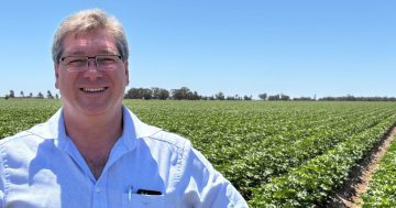 Agribusiness bank appoints long-time local as its Griffith area manager