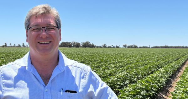 Agribusiness bank appoints long-time local as its Griffith area manager