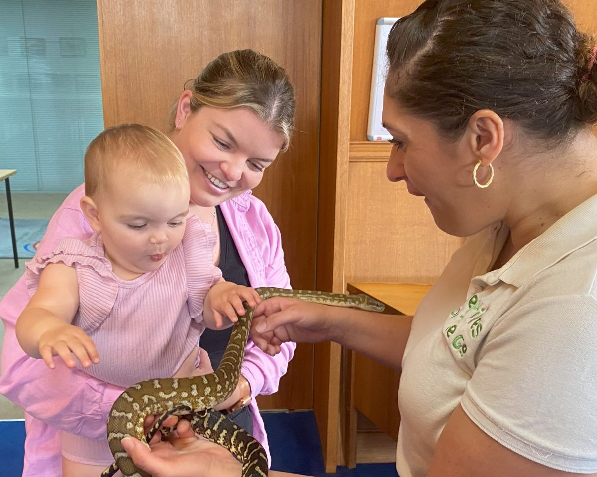 Reptiles on the Go is a family-friendly exhibition that allows participants to get up nice and close with some of the coolest critters on the planet. 