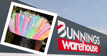 ‘You’d get a Zooper Dooper’: Concerns for Wagga Bunnings staff during heat wave