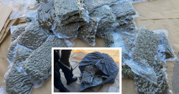 92 kg of cannabis seized on Hume Highway