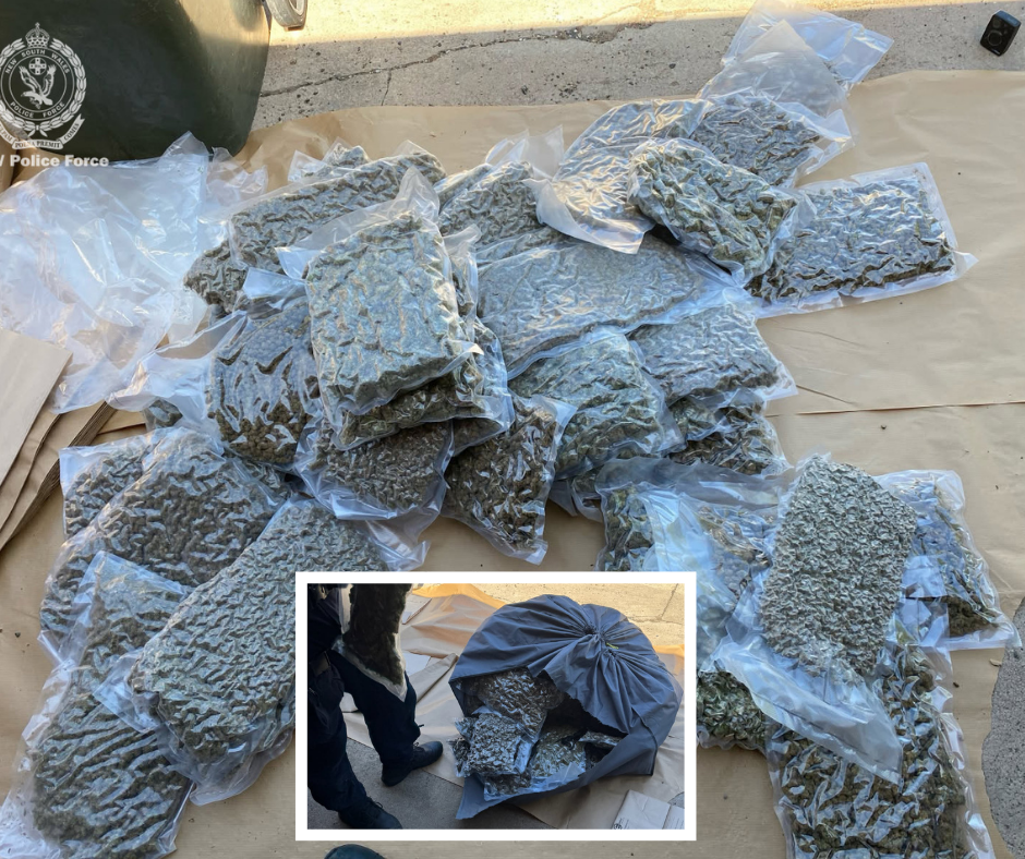  92kg of cannabis in vacuum sealed bags,