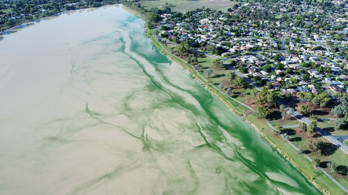 The drone images caused quite a stir online with many Lake Albert residents showing their concerns for the lake.