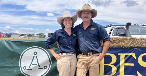 Holbrook couple ready to line up on the red carpet as finalists in the Australian Small Business Champion Awards