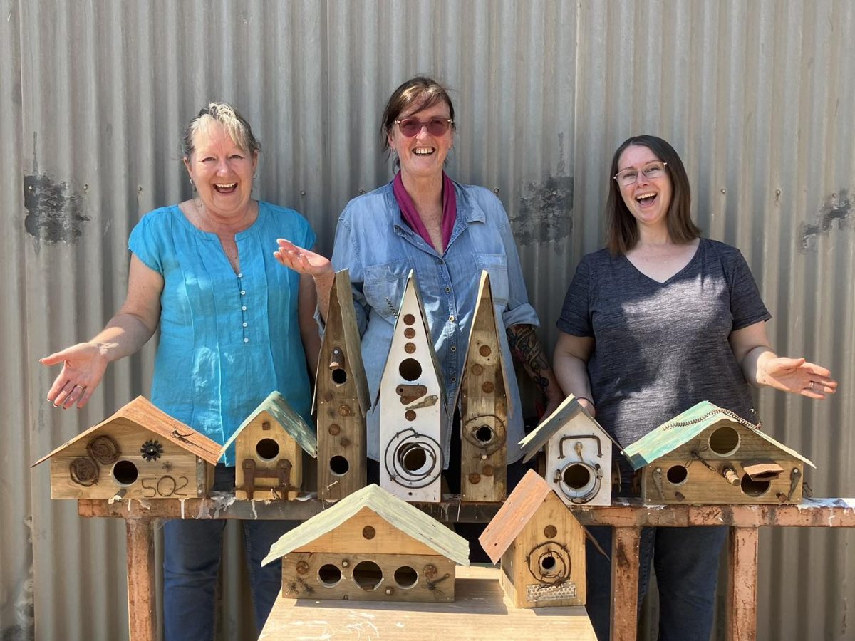 Birdhouses, barbed wire balls, fibre baskets, hebel stone swirls .... you name it, Coolamon's Nadine Lucas can probably teach you how to make it. 