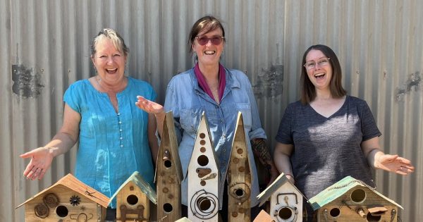 Nadine Lucas' creative workshops in Coolamon set to go global as followers line up to learn her skills