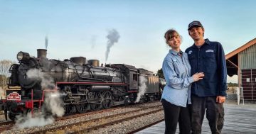 For the love of steam trains: Nostalgia on the tracks as locomotive R766 to visit Wagga, Albury and Cootamundra