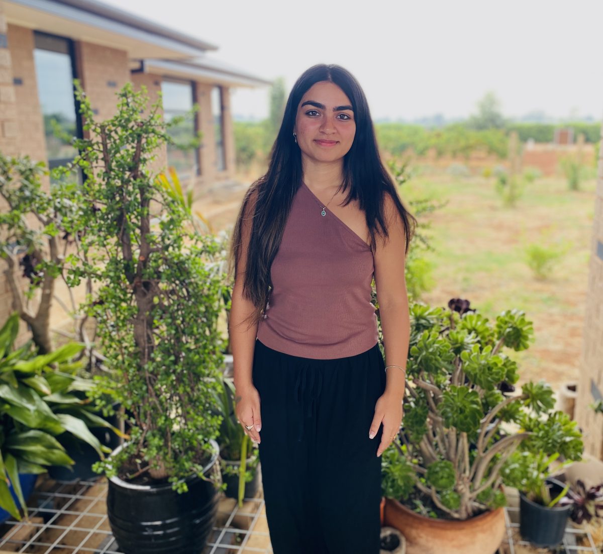 Dahlia Abbas in a garden 