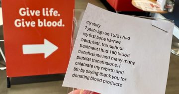 Lifeblood opens door to 625,000 potential donors after easing ban on gay and bisexual men
