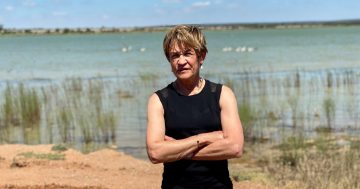 Murray MP accuses NSW Government of 'stealing' water from Riverina farmers, but bureaucrats hit back