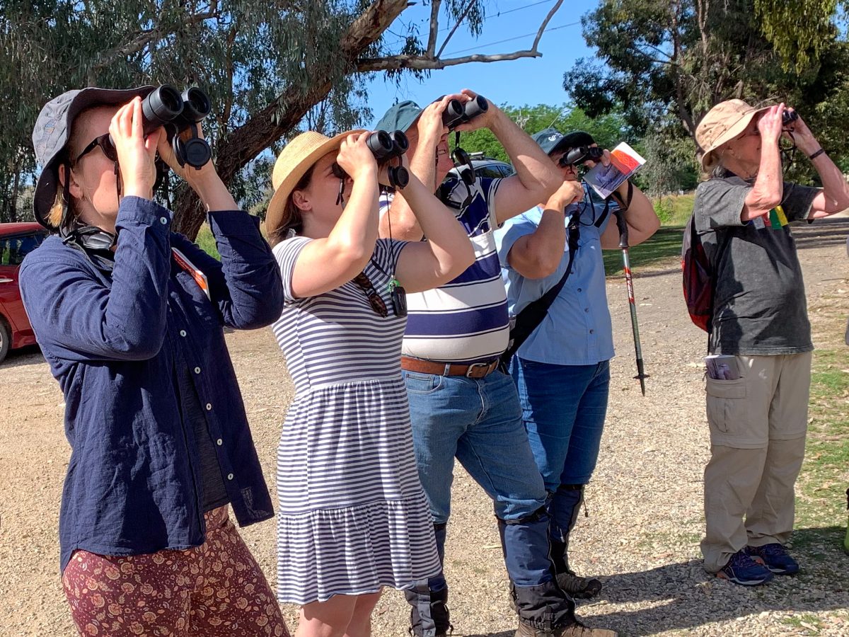 Landholders across the Riverina are taking part in surveys on their properties in a bid to manage their land in a way that benefits birds and their habitats. This also leads to increased farm productivity, say BirdLife Australia, through helping combat issues that flow on from climate change, historic habitat loss and fragmentation, feral animals and drought.