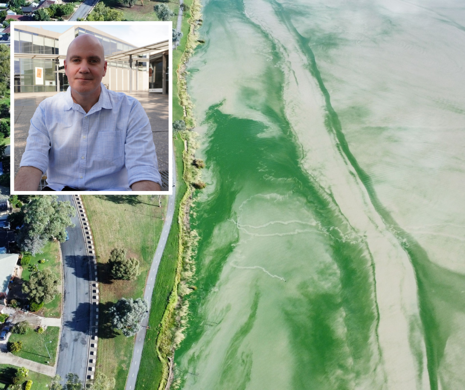 Wagga Wagga City Councillor Tim Koschel said there was no silver bullet solution for the ongoing blue-green algae issues plaguing Lake Albert.