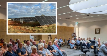 Riverina farmers cheer as WWCC vote to seek protections against building solar farms on prime farmland