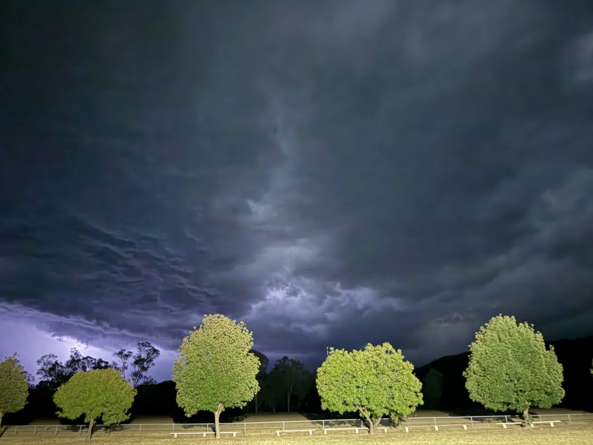 night sky view 