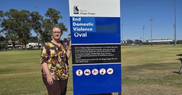 Vigilantes cover Michael Slater Oval sign in Wagga with 'End Domestic Violence' message