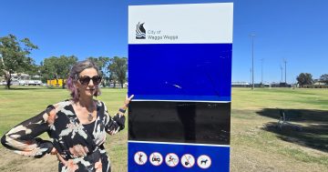 Backlash over Wagga Council's swift removal of ‘End Domestic Violence’ sign at Michael Slater Oval