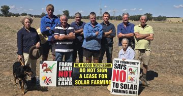 Farmers to hold community forum on solar farms 'being pushed through' on Wagga’s prime agricultural land