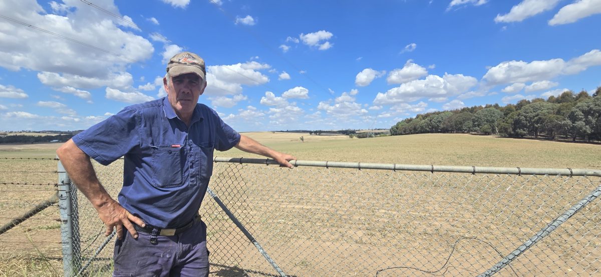 a man standing against his farm fence