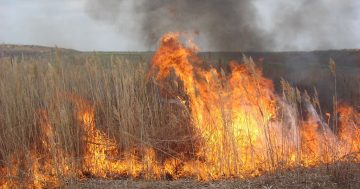 Increased agricultural burning expected in Riverina as rice harvest ends