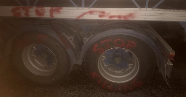 Farmers condemn obscene graffiti sprayed on livestock trucks in Wagga and Goulburn