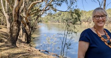 Independent candidate joins growing push to transform Narrandera's Lake Coolah into dam