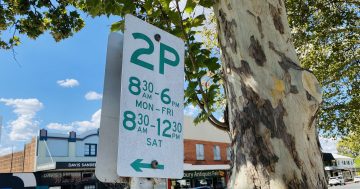 ‘No time for ice cream’: Griffith councillor’s push to abolish Saturday parking time limits voted down