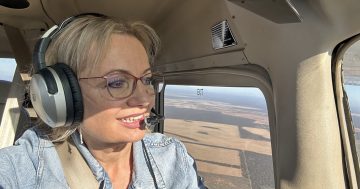 Wind beneath her wings: Pilot, politician and still pushing for Farrer electorate