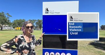 Wagga Council silent on Michael Slater Oval renaming delays and graffiti removal policy gaps