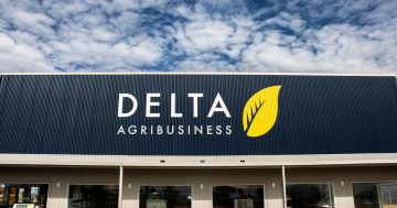 Grain producers' association opposes Elders' bid for Delta Agribusiness, citing competition concerns