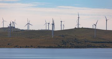 Report on proposed wind farm between Binalong and Bowning delayed